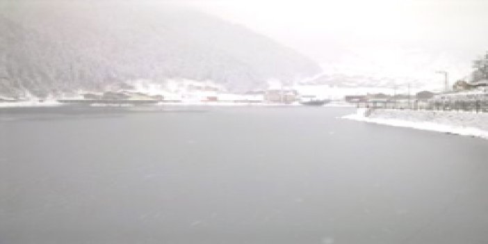 Trabzon'da Göletlere balık projesi