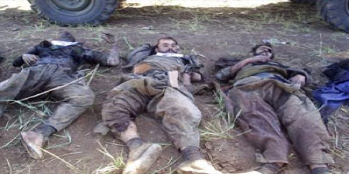 Bingöl'de çok sayıda terörist öldürüldü