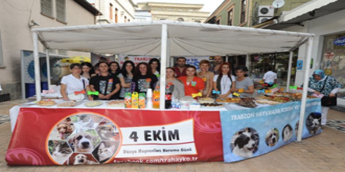 Trabzon'da köpeklere kermesli destek