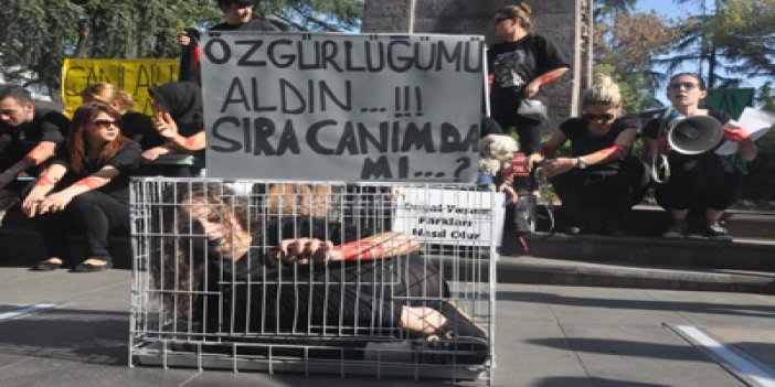 Trabzon'da hayvanlar için kafese girdi