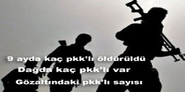 Türkiye kırsalında bin 600 PKK'lı var.