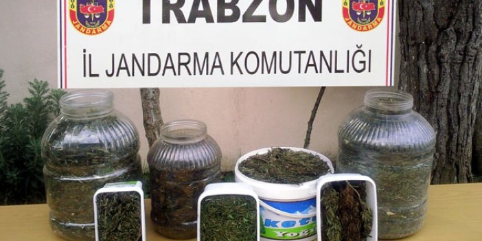 Trabzon'da esrar satıcısına şok baskın