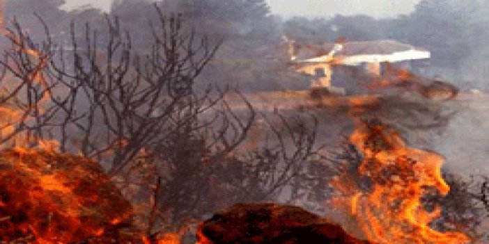 Manisa'da Spil Dağı'nda yangın