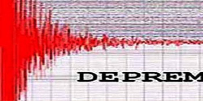 Muğla'da 4 Şiddetinde Deprem