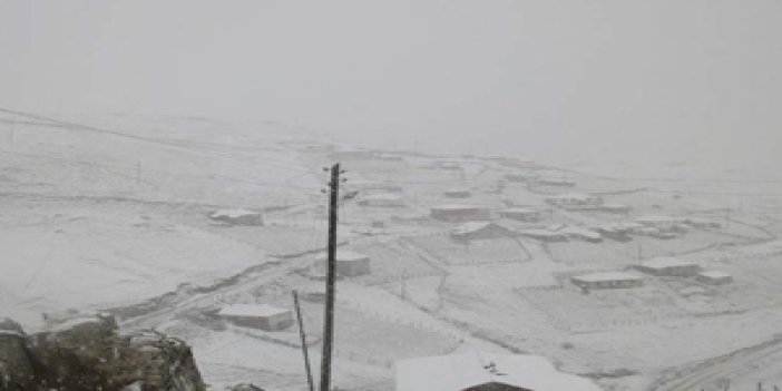 Trabzon yaylalarına yılın il karı düştü