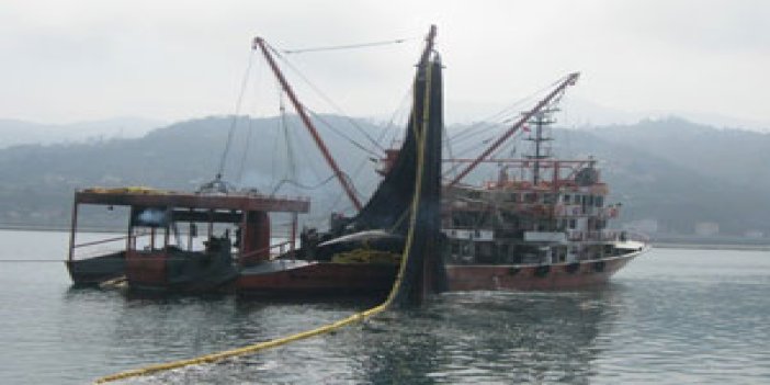 Trabzon'lu balıkçıların hamsi isyanı