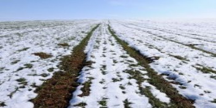Kar  tarım ürününde verimi artırıyor