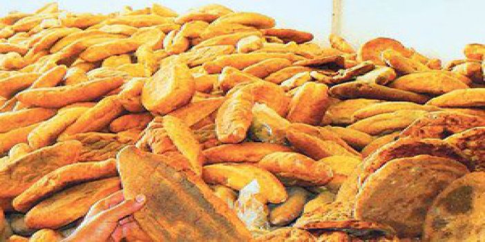 Türkiye'de  6 milyon ekmek çöpe atılıyor