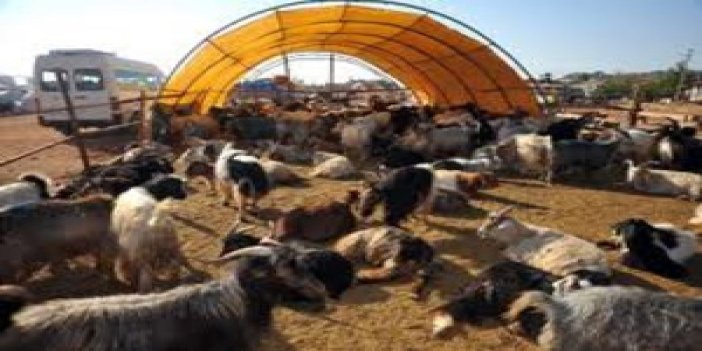 Hayvan pazarı karantinaya alındı
