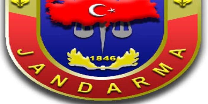 Trabzon'da Jandarma'dan büyük operasyon