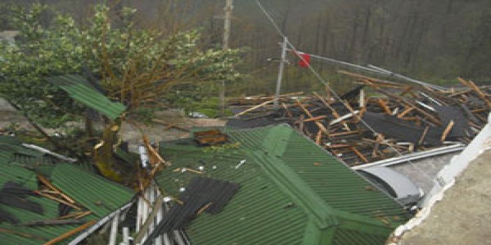 İkizdere'dei rüzgar 3 evin çatına zarar vedi
