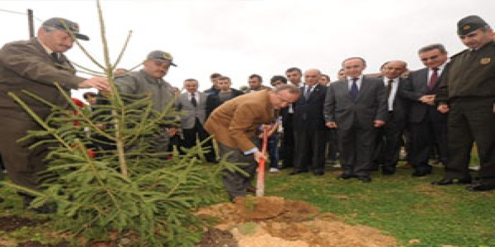 Trabzon'da ağaç bayramı kutlandı