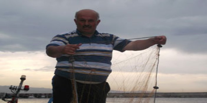 Trabzonlu balıkçılar yunuslardan yana dertli