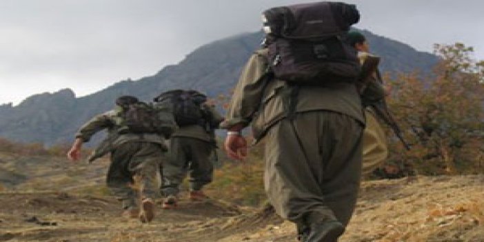 PKK, araç yakıp Müteahhit kaçırdı