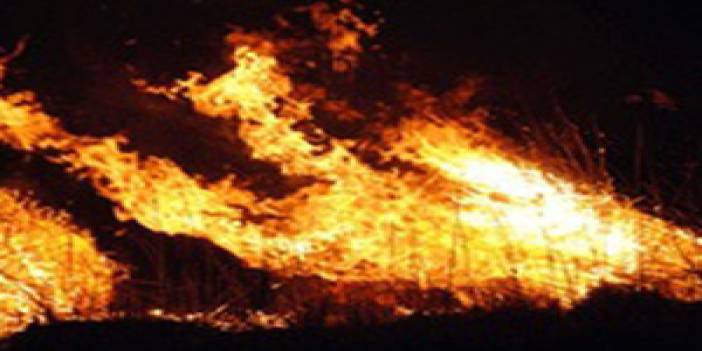 Antalya'da orman yangını 22 Temmuz 2013