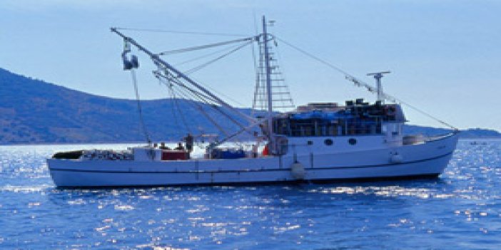 Karadeniz'de az çıkan balık fiyatları yükseltti