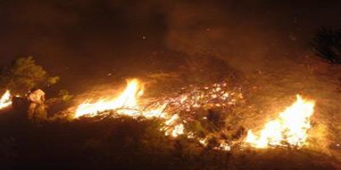 Samsun'daki Yangın Sürüyor