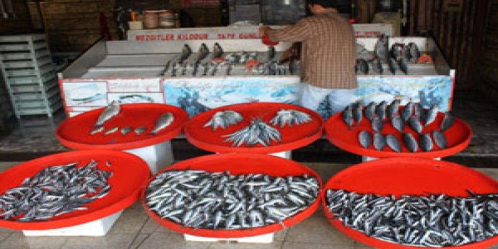 Trabzon'da balık satışı üzüyor