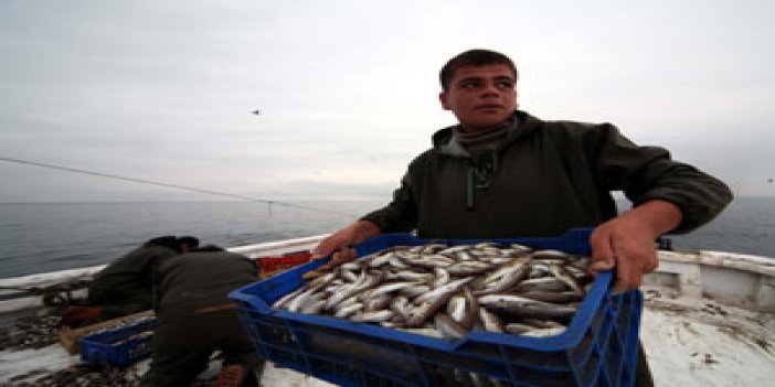 Karadeniz'e açılan balıkçıların "barbun" sevinci