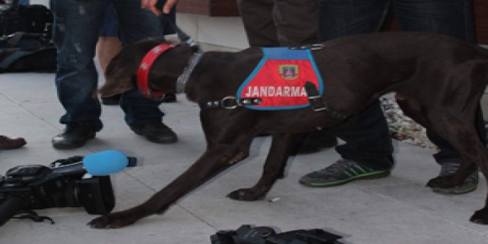 Trabzon'da Bomba arama köpeği iş başında