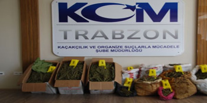 Trabzon'da zehir tecirlerine büyük darbe