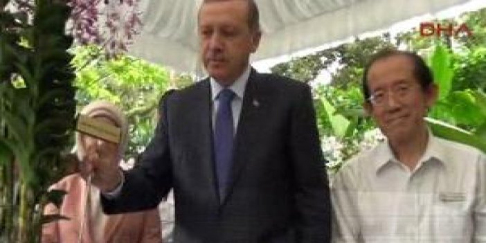 Erdoğan çiftine büyük jest