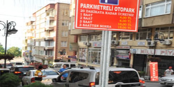 Trabzon'da basına ücretsiz otopark!