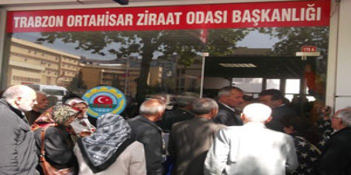 Trabzon'da fındık üreticileri destek peşinde!
