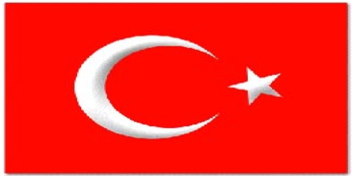 Türk bayrağını bakın nelen karıştırdılar!