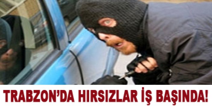 Trabzon'da hırsızlar iş başında!