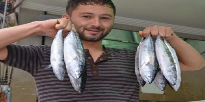 Trabzon'da balıkçıların yüzü güldü!