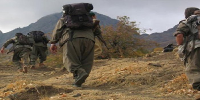 PKK'lılar müteahhit kaçırdı