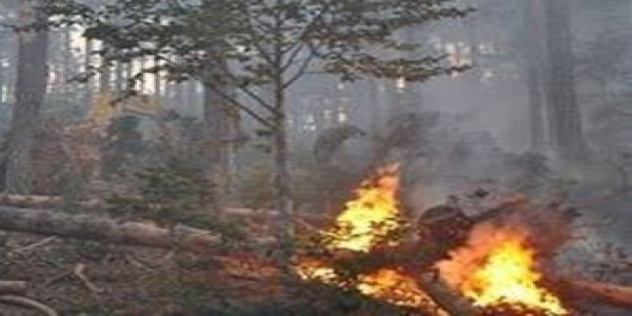 Trabzon'da su tesisini yaktılar