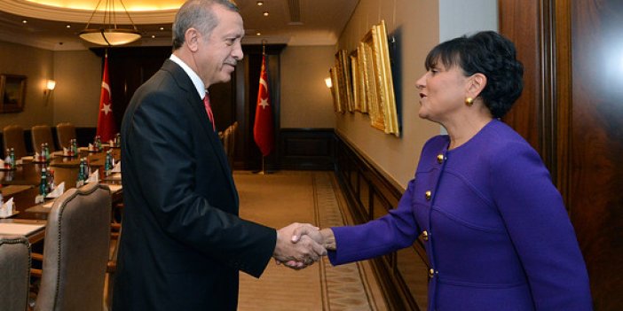 ABD Türkiye ile ticari ilişkileri güçlendirmek istiyor