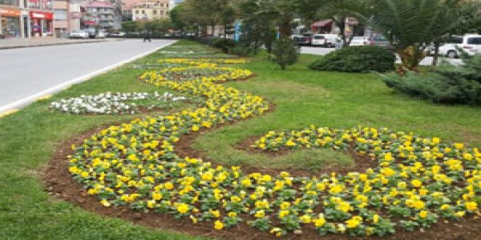 Trabzon çiçek açacak
