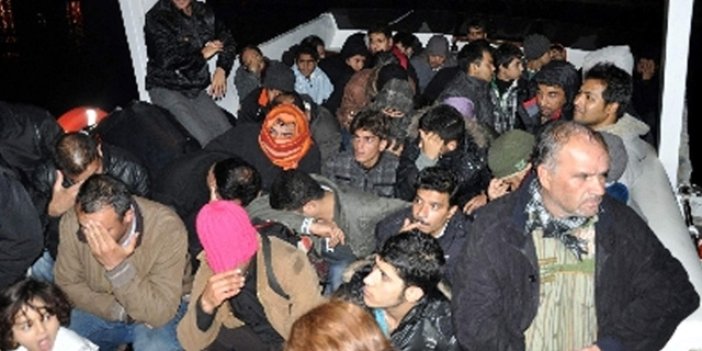 Muğla'da göçmen operasyonu