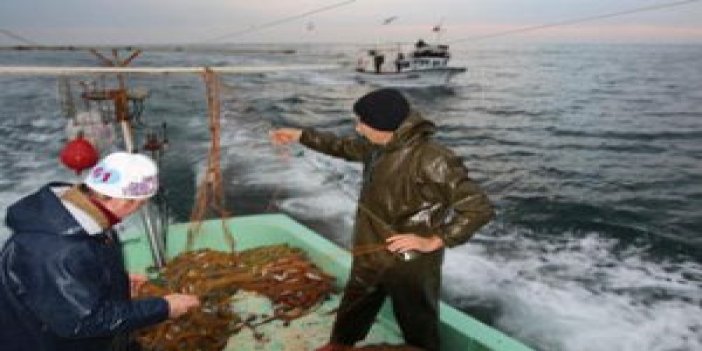 Trabzon'da balıkçıların yeni rotası