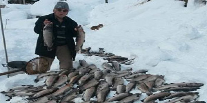 Trabzon'da soğuk balıkları vurdu