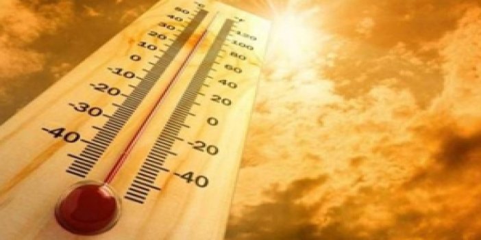 Tarihin en sıcak yılı