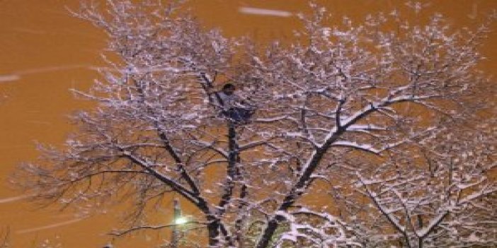 Samsun'da ağaç tepesinde intihar girişimi