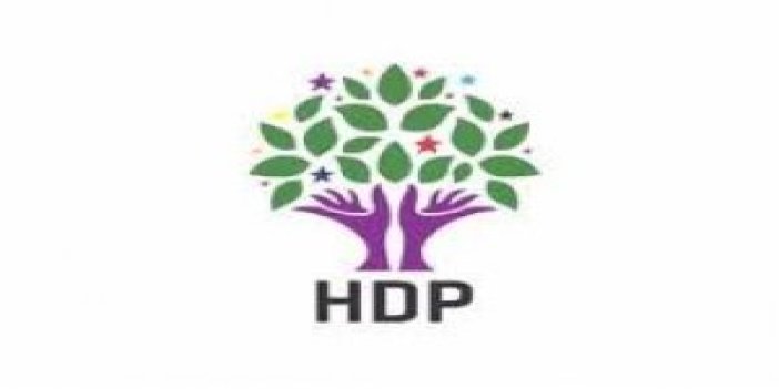 HDP Trabzon'da resmen kuruldu!