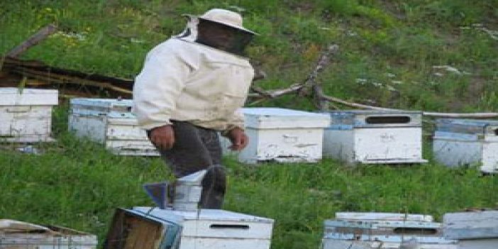 Trabzon'da arı paneli yapıldı