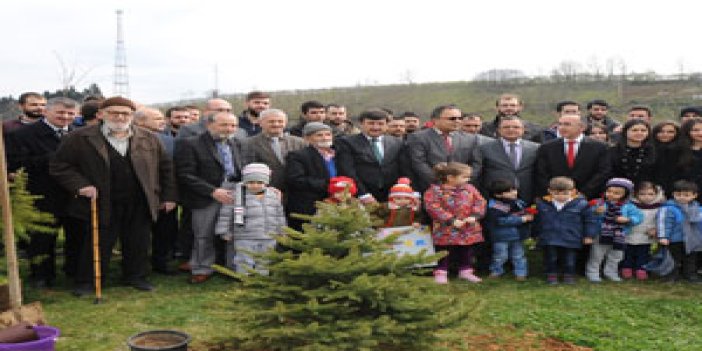 Trabzon'da Ulu çınarlar ve fidanlar buluştu