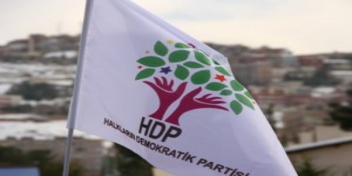 HDP'li vekilden PKK'ya 'geri çekilin' çağrısı