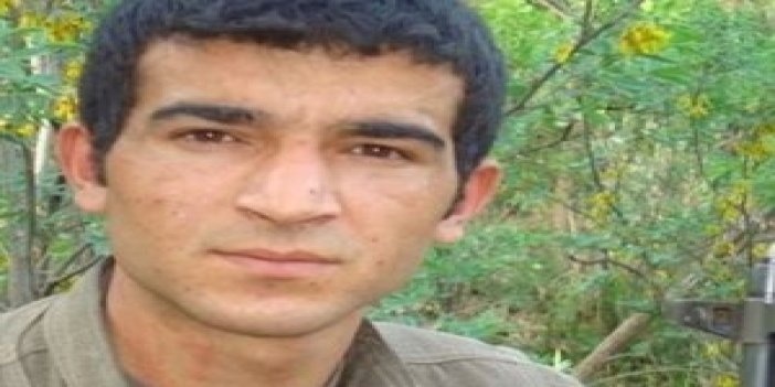Ağrı'da öldürülen PKK'lı bakın kim çıktı!