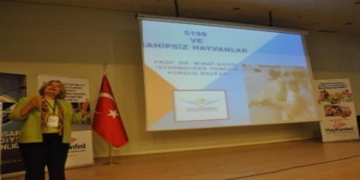 Hayvan hakları Trabzon'da masaya yatırıldı