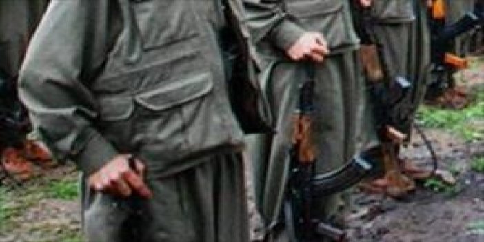 4 PKK üyesi yakalandı