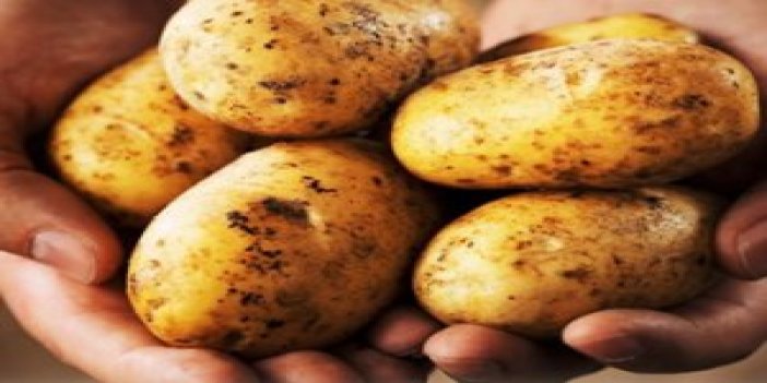 Rekabet Kurumu patates fiyatlarına el attı