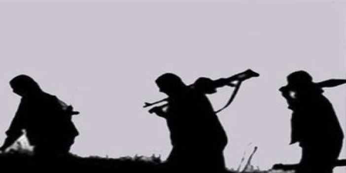 PKK kaçırdığı 1 kişiyi serbest bıraktı