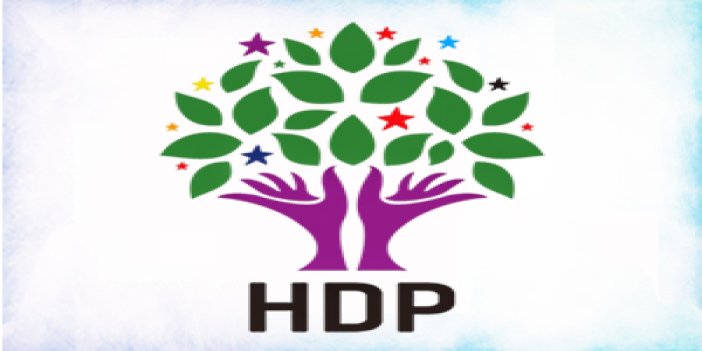HDP'den operasyonlarla ilgili açıklama